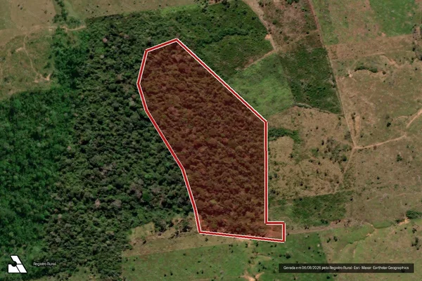 Imagem de satélite de Infração da Flora em Porto Velho - RO