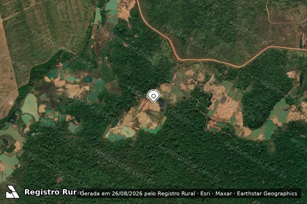 Imagem de satélite de Infração da Flora em São Félix do Xingu - PA (marcador da localização)