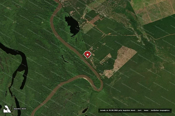 Imagem de satélite de Infração Ambiental em São Miguel do Araguaia - GO (marcador da localização)