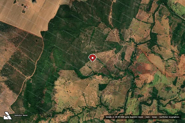 Imagem de satélite de Infração Ambiental em Niquelândia - GO (marcador da localização)