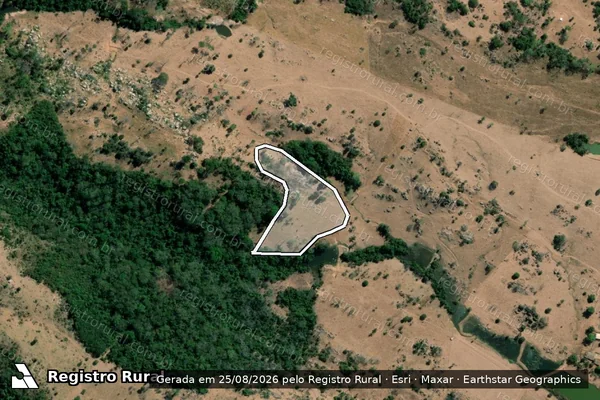 Imagem de satélite — Embargo IBAMA — Infração da Flora - Alta Floresta/MT