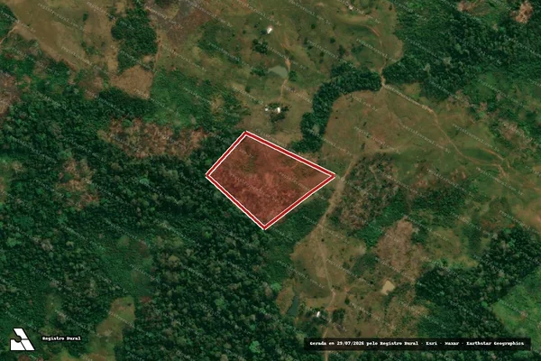 Imagem de satélite de Infração da Flora em Feijó - AC