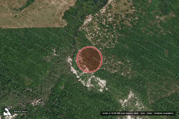 Imagem de satélite de Infração da Flora em Parintins - AM