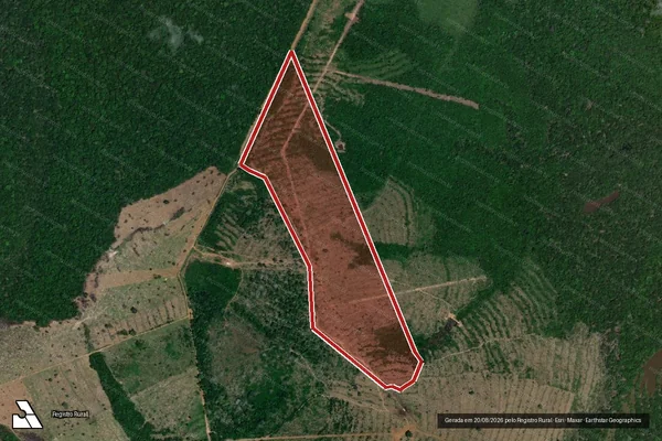 Imagem de satélite de Infração da Flora em Porto Velho - RO