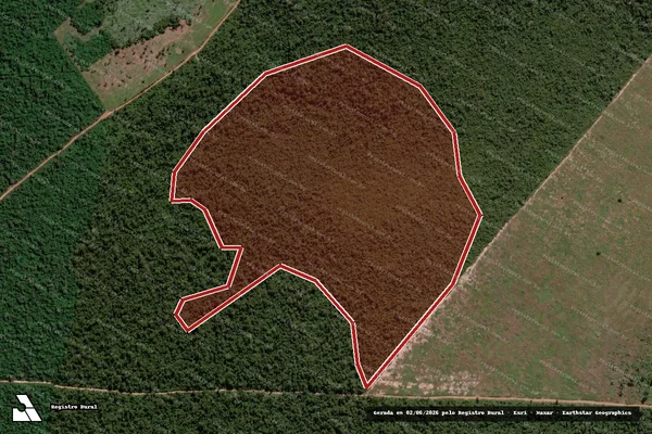 Imagem de satélite de Infração da Flora em Novo Progresso - PA