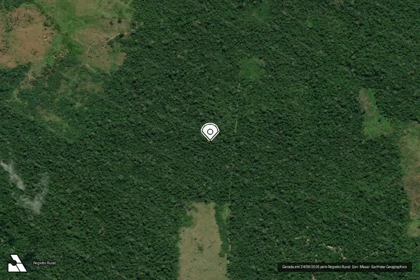 Imagem de satélite de Infração da Flora em Pacajá - PA (marcador da localização)