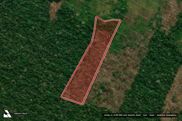 Imagem de satélite de Infração da Flora em Tarauacá - AC