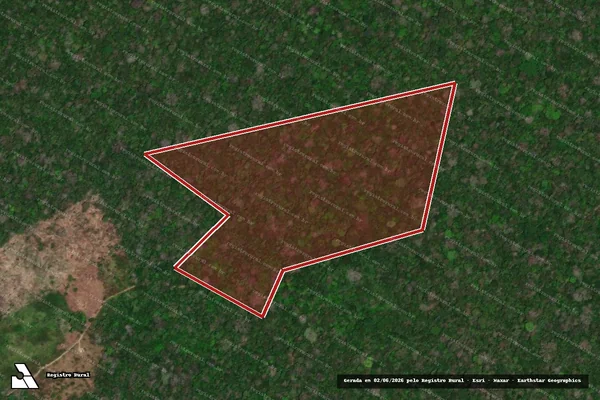 Imagem de satélite de Infração da Flora em Boca do Acre - AM