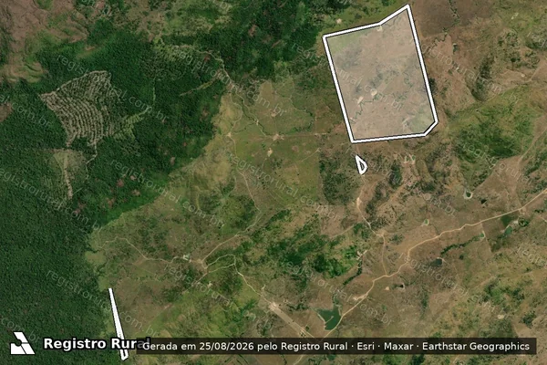 Imagem de satélite de Infração Ambiental em São Félix do Xingu - PA