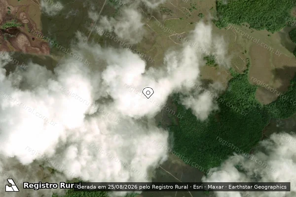 Imagem de satélite — Embargo IBAMA — Infração da Flora — Pracuúba/AP