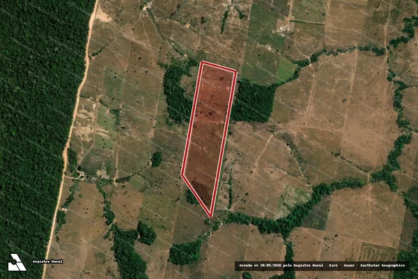 Imagem de satélite de Infração da Flora em Castanheira - MT
