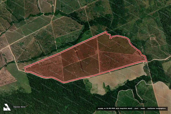 Imagem de satélite de Infração da Flora em Altamira - PA
