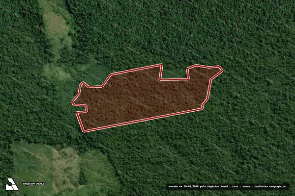 Imagem de satélite de Infração da Flora em Pacajá - PA
