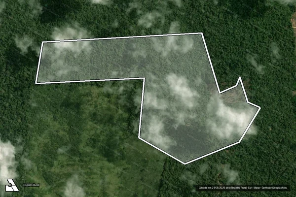 Imagem de satélite de Infração da Flora em Portel - PA