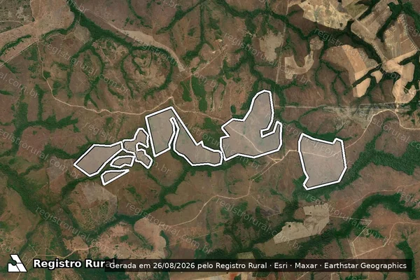 Imagem de satélite — Embargo IBAMA — Infração da Flora — Dois Irmãos do Tocantins/TO