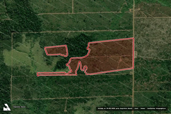 Imagem de satélite de Infração da Flora em Colniza - MT