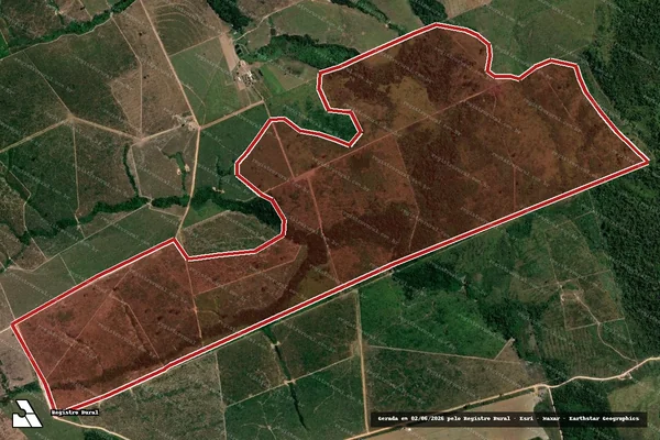 Imagem de satélite de Infração da Flora em Altamira - PA