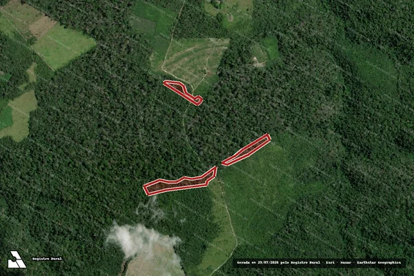 Imagem de satélite de Infração da Flora em Santarém - PA
