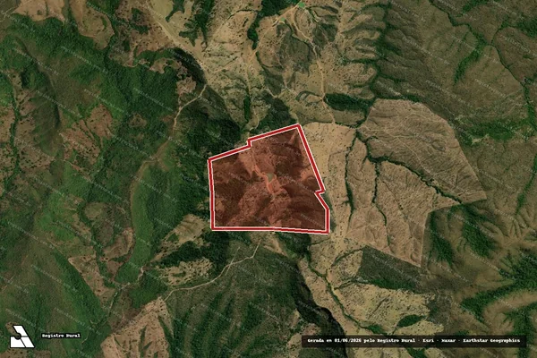 Imagem de satélite de Infração Ambiental em Campinaçu - GO