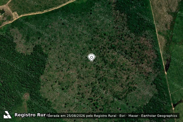 Imagem de satélite de Infração da Flora em Apuí - AM (marcador da localização)