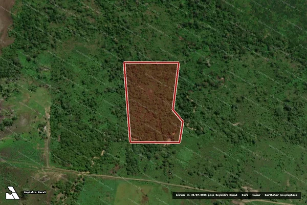 Imagem de satélite de Infração Ambiental em Caracaraí - RR