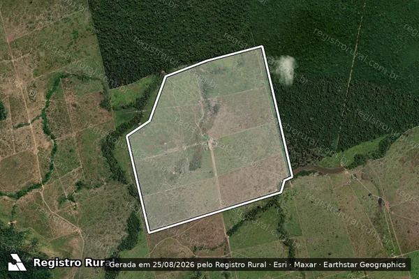 Imagem de satélite de Infração da Flora em Altamira - PA