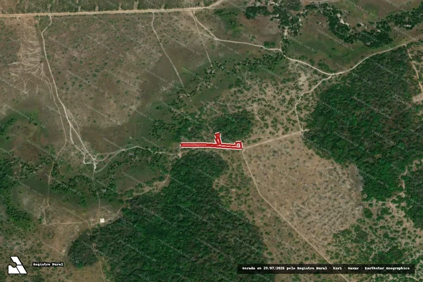 Imagem de satélite de Infração Ambiental em Boa Vista - RR
