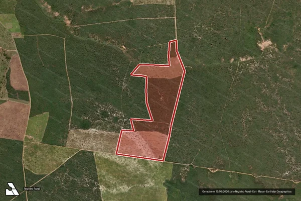 Imagem de satélite de Infração da Flora em Novo Triunfo - BA