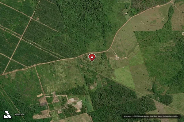 Imagem de satélite de Infração Ambiental em Tomé-Açu - PA (marcador da localização)