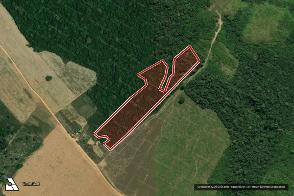 Imagem de satélite — Embargo IBAMA — Infração da Flora - Mojuí Dos Campos/PA
