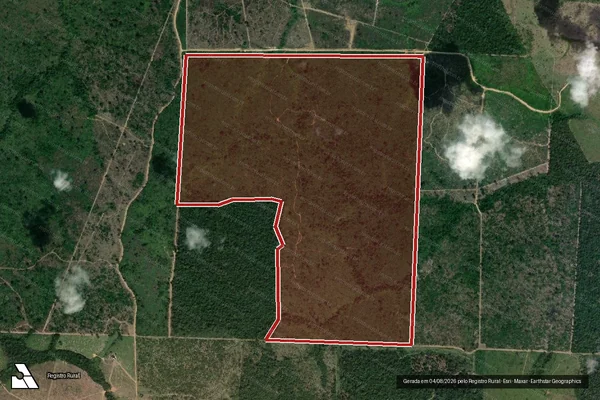 Imagem de satélite de Infração da Flora em Novo Progresso - PA