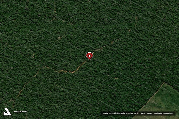 Imagem de satélite de Infração Ambiental em Aripuanã - MT (marcador da localização)