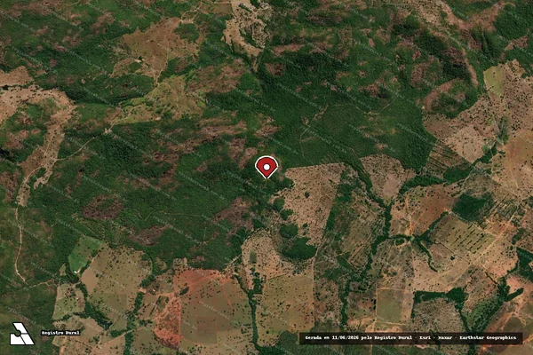 Imagem de satélite de Infração Ambiental em Fazenda Nova - GO (marcador da localização)