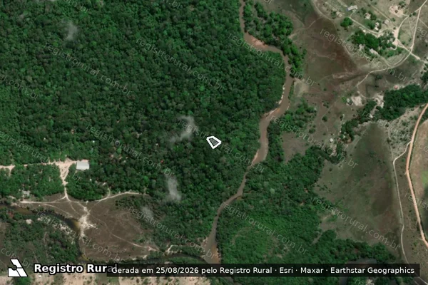 Imagem de satélite de Infração Ambiental em Alto Alegre - RR