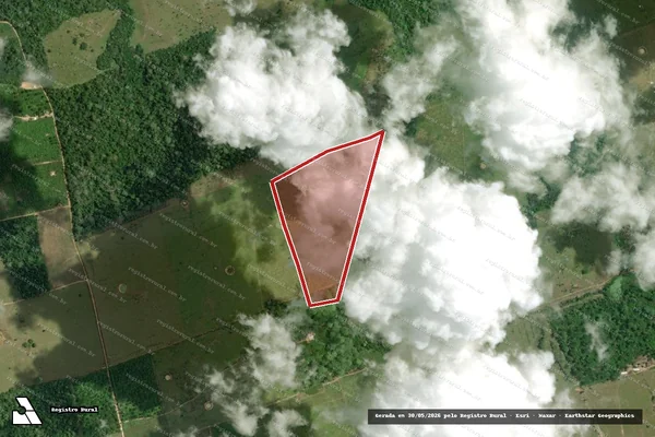 Imagem de satélite — Embargo IBAMA — Infração Ambiental - Brasil Novo/PA