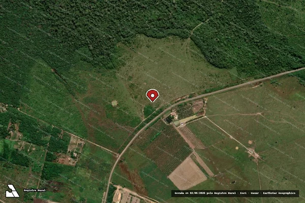 Imagem de satélite de Infração Ambiental em Canutama - AM (marcador da localização)