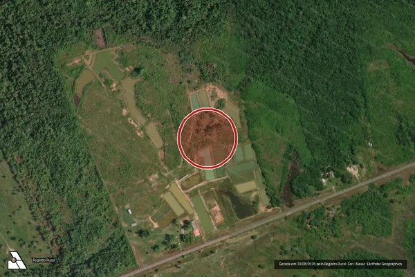 Imagem de satélite — Embargo IBAMA — Infração da Flora - Careiro/AM