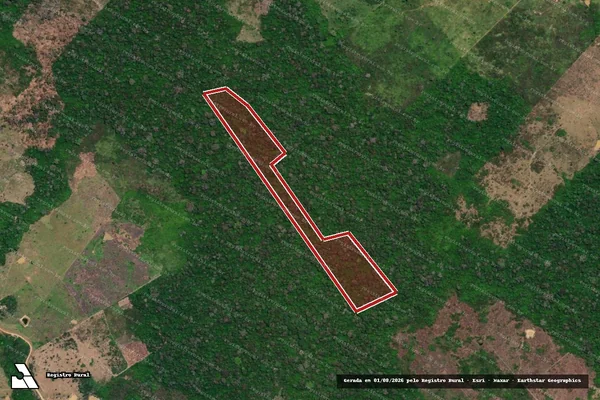 Imagem de satélite de Infração da Flora em Rio Branco - AC