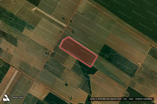 Imagem de satélite de Infração da Flora em Nova Ubiratã - MT