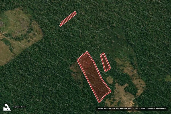 Imagem de satélite — Embargo IBAMA — Infração da Flora - Rio Branco/AC