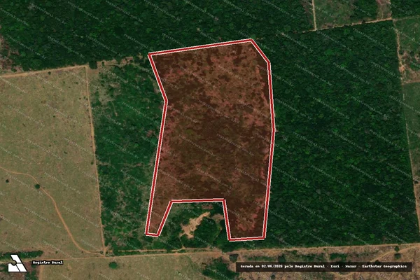 Imagem de satélite de Infração da Flora em Porto Velho - RO