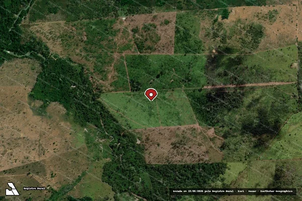 Imagem de satélite de Infração da Flora em Brasília - DF (marcador da localização)