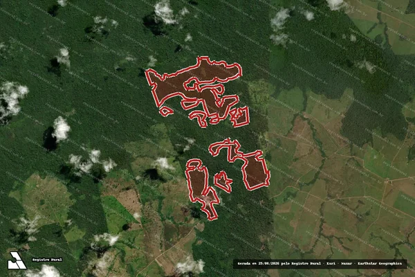 Imagem de satélite de Infração da Flora em São Félix do Xingu - PA