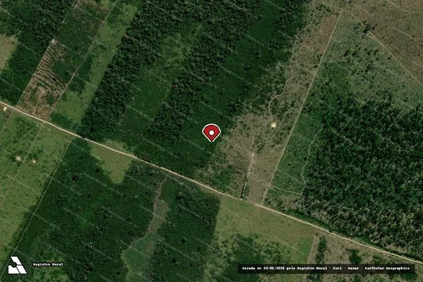 Imagem de satélite de Infração Ambiental em Buritis - RO (marcador da localização)