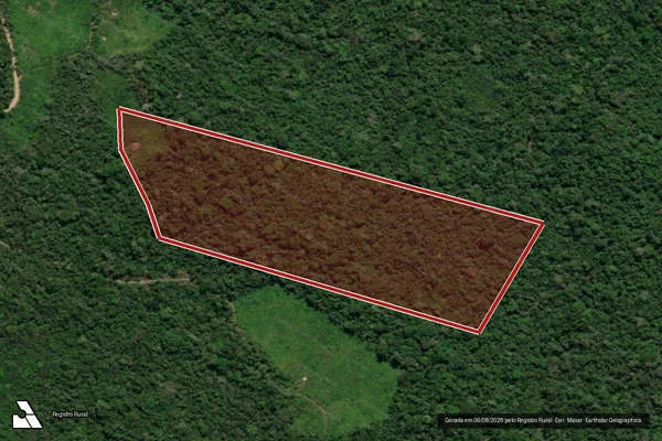 Imagem de satélite de Infração da Flora em Pacajá - PA