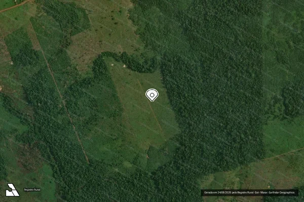 Imagem de satélite de Infração Ambiental em Apuí - AM (marcador da localização)