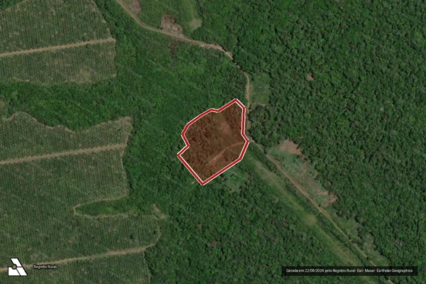 Imagem de satélite de Infração da Flora em Tomé-Açu - PA