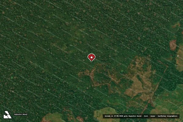 Imagem de satélite — Embargo IBAMA — Infração da Flora — Feijó/AC