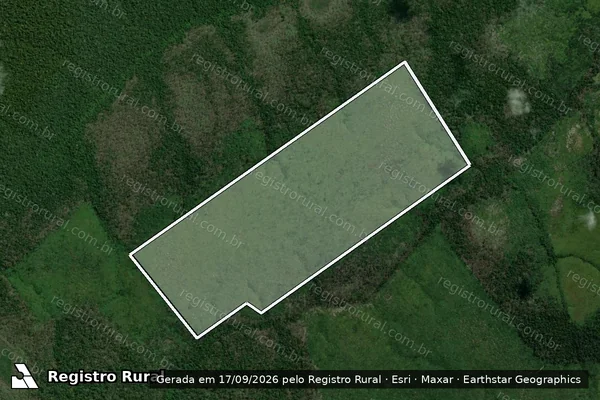 Imagem de satélite de Infração Ambiental em Apuí - AM