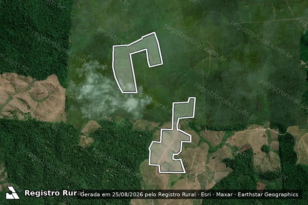 Imagem de satélite de Infração da Flora em Pacajá - PA